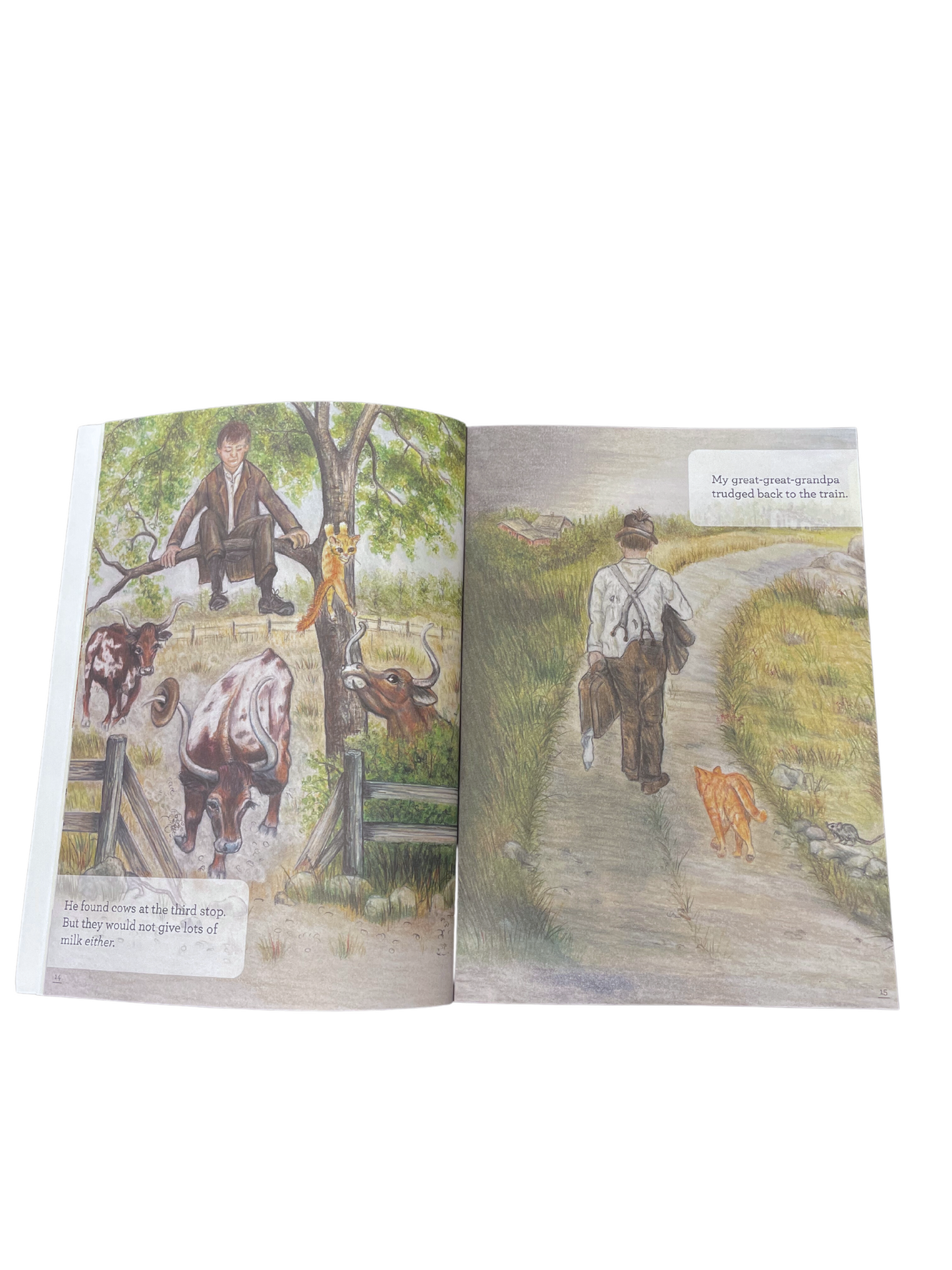 Promo - Children's Book - Dairy West
