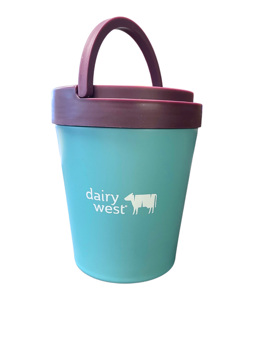 Promo - Ice Cream Keeper - Dairy West